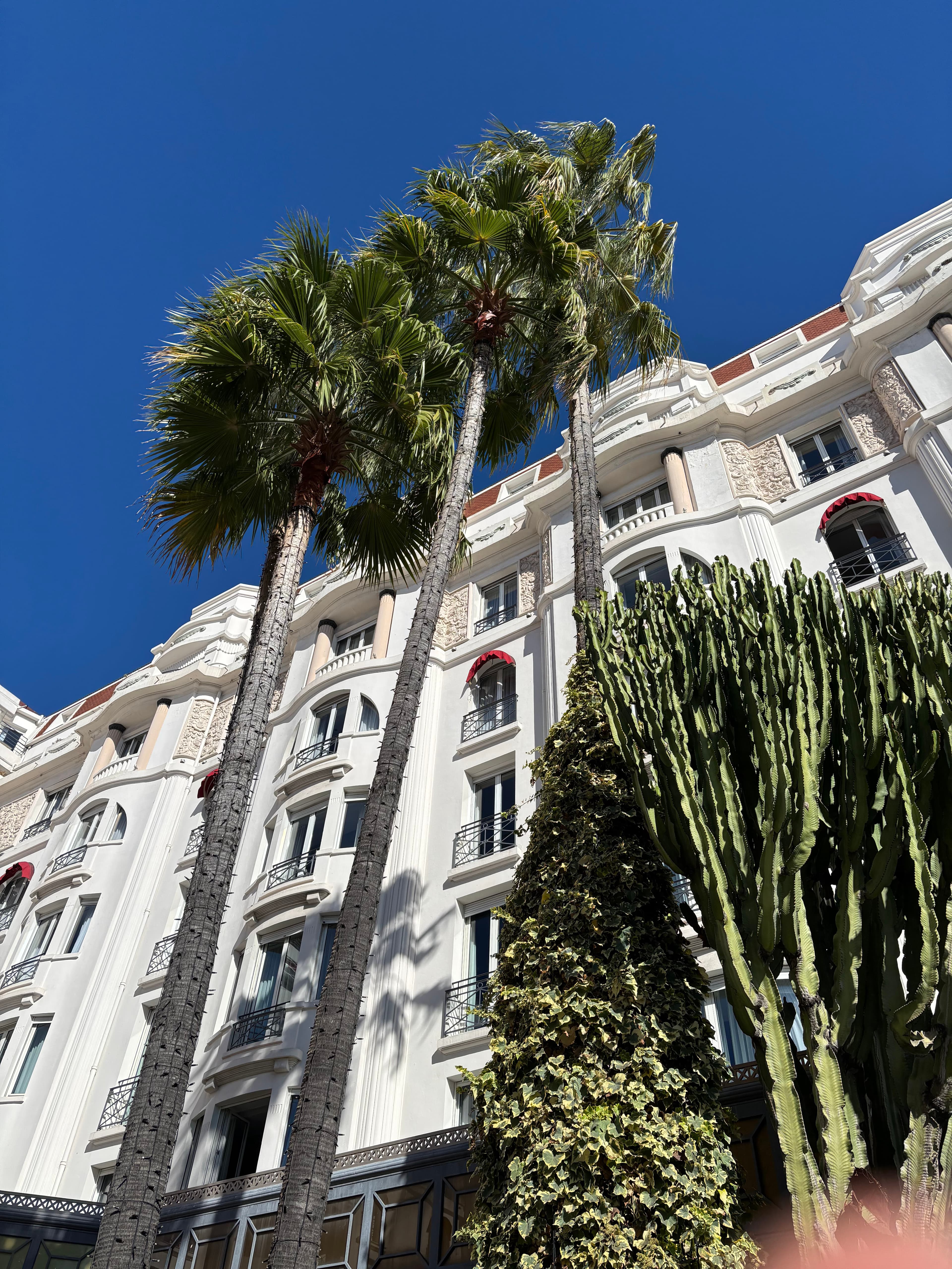 Photo 304 - Croisière Club Med 2 (blurred background)